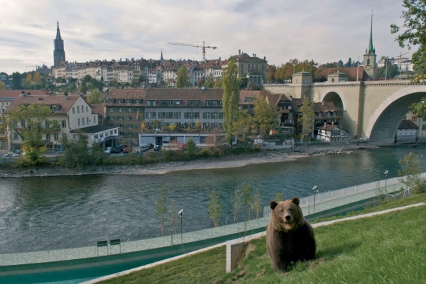 스위스 베른에 있는 곰 공원. [사진=도서출판 은행나무] 