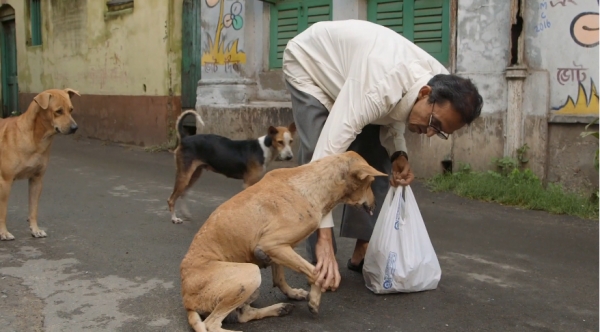 인도의 전통 개 파리아 도그와 떠돌이 개들. [사진=도서출판 은행나무] 