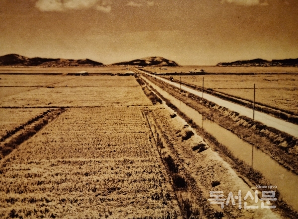 동진수리조합의 물을 공급받은 간척지, 당시의 김제군 광활면의 모습 [사진=아리랑문학마을]