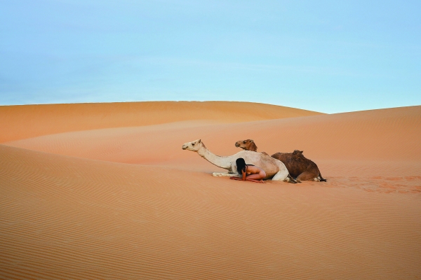 팀북투의 사막에서 작품으로 선정할 수 있었던 유일한 작품. 2012년 전시회에 출품된 이 작품의 이름은 '사헬, 말리, 사하라'다. [사진=도서출판 통나무] 