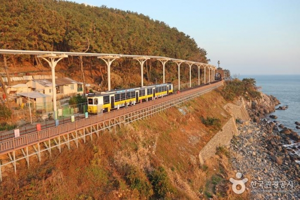 부산 바다 열차